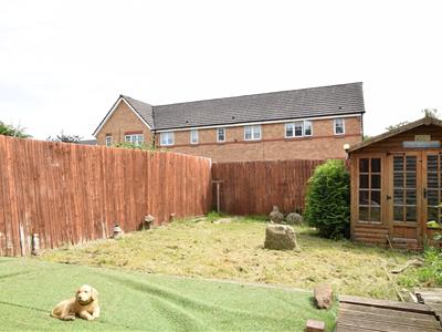 Picture 14